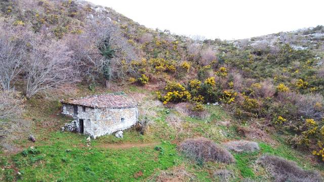 Finca rústica en Venta en N/A, -1 en Parres