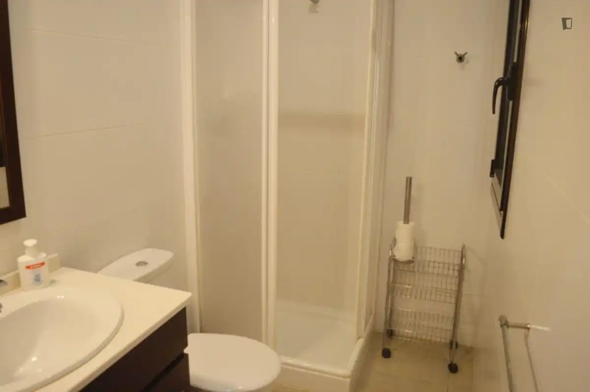 Bany de Apartament de lloguer en Barcelona amb Moblat, Forn i Rentadora