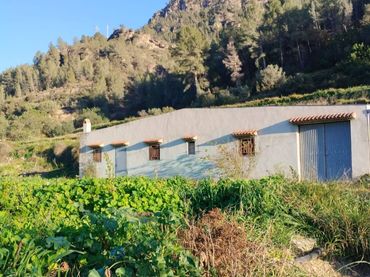 Terreny rústic en venda a C-12 42