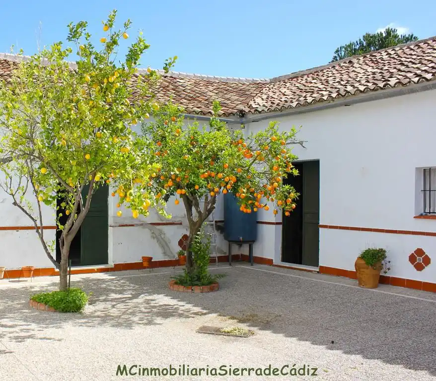 Casa rústica en venda a Algodonales, imagen 12