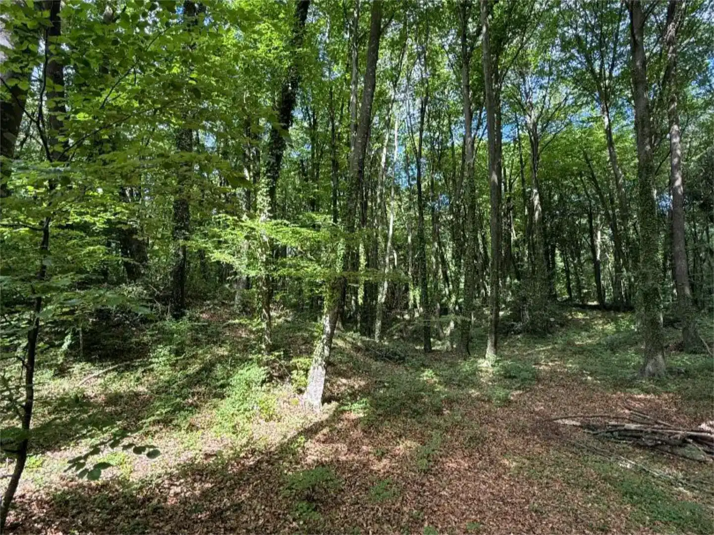 Pis en venda en Santa Pau amb Jardí privat i Traster