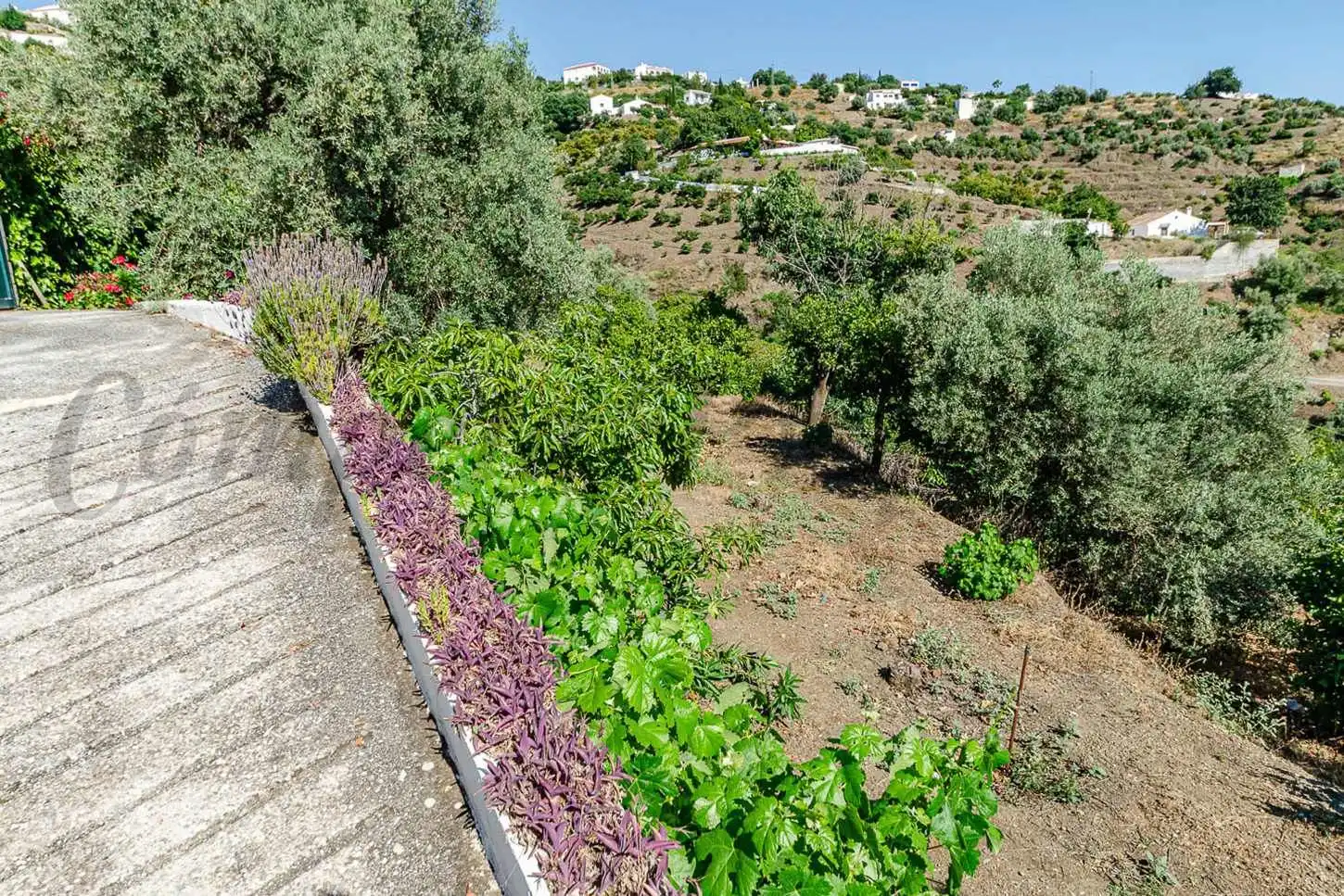 Casa amb jardí en venda a Canillas de Albaida, imagen 25
