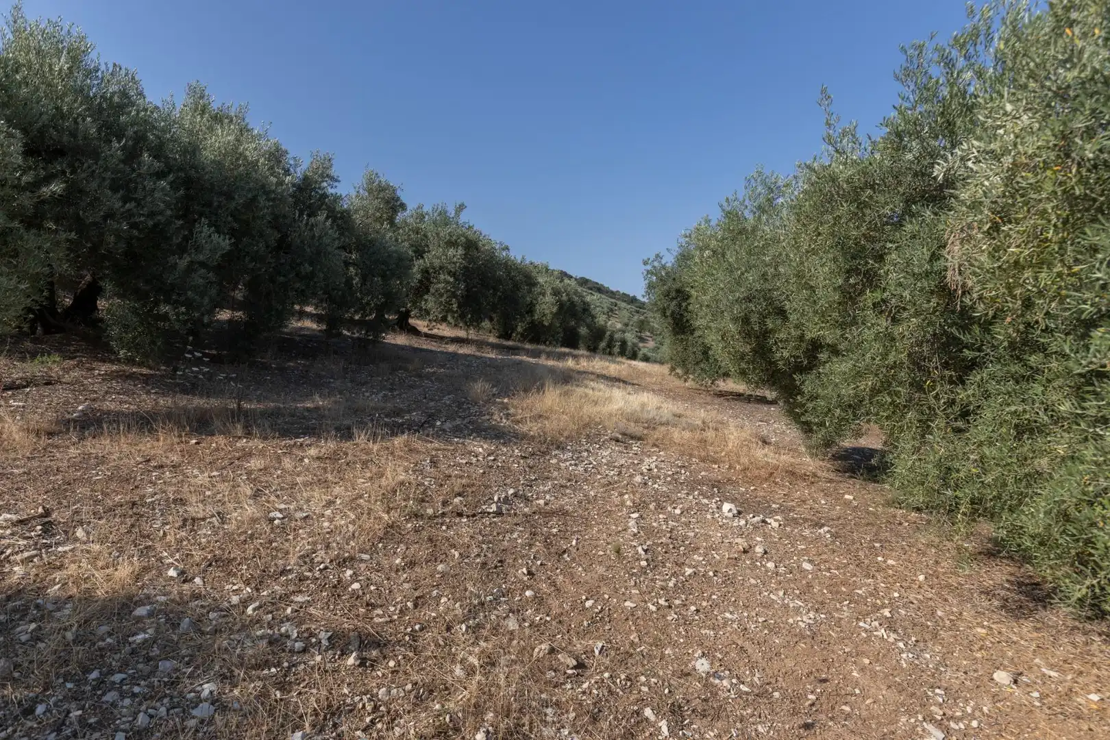 Terreni e lotti in vendita a Lugar Lugar del Cortijo Aguadero, imagen 27