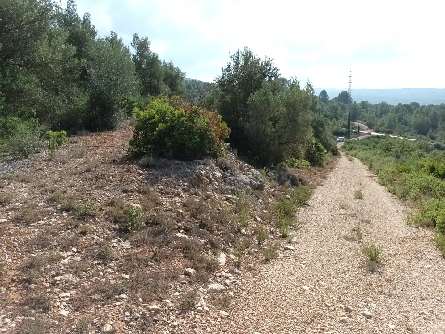 Terreno en venta en Benigànim