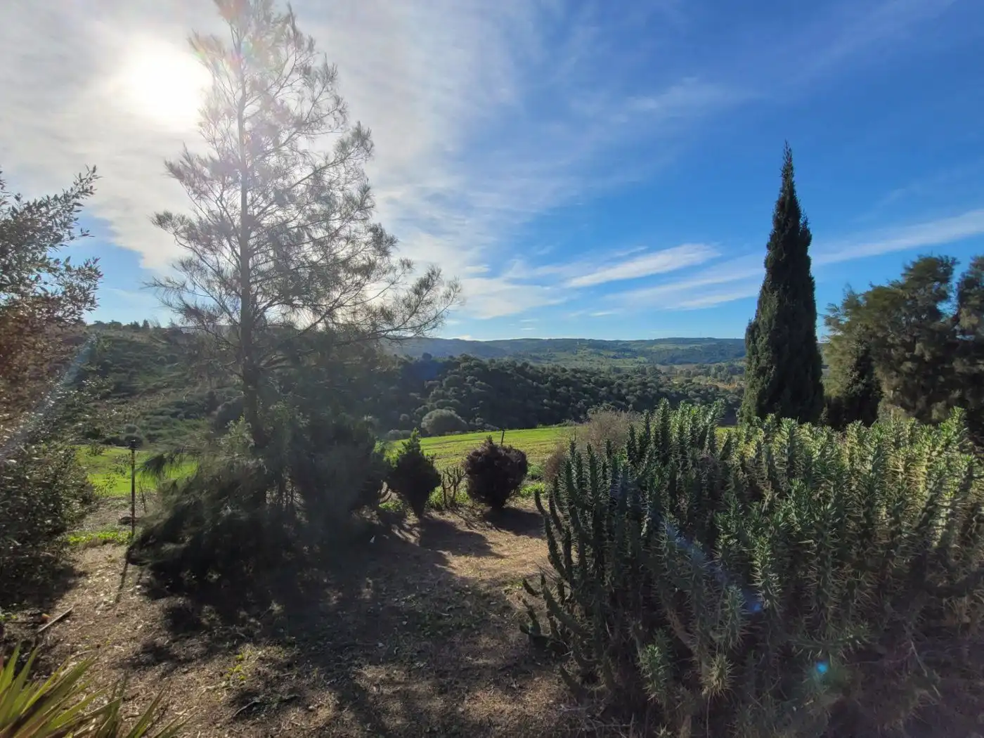 Casa o chalet en venta en Plaza Constitución, San Martín del Tesorillo