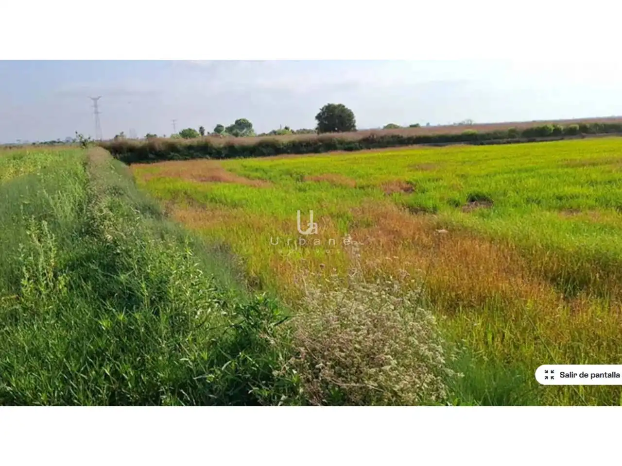 Rural land for sale in Camino Alter, imagen 8