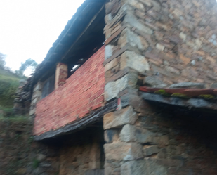 Exterior view of Country house for sale in Cudillero  with Private garden