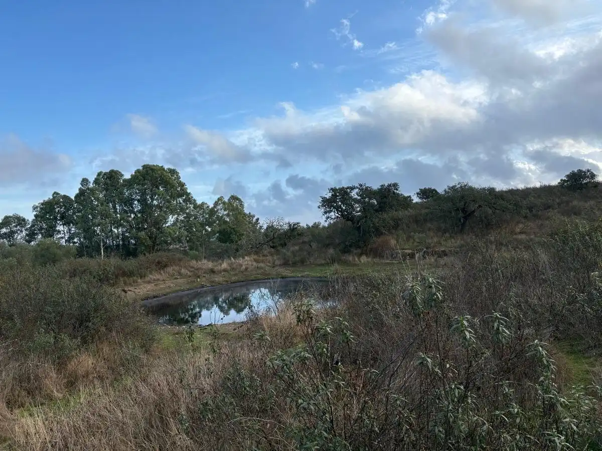 Terreni e lotti in vendita a Puebla de Guzmán, imagen 9