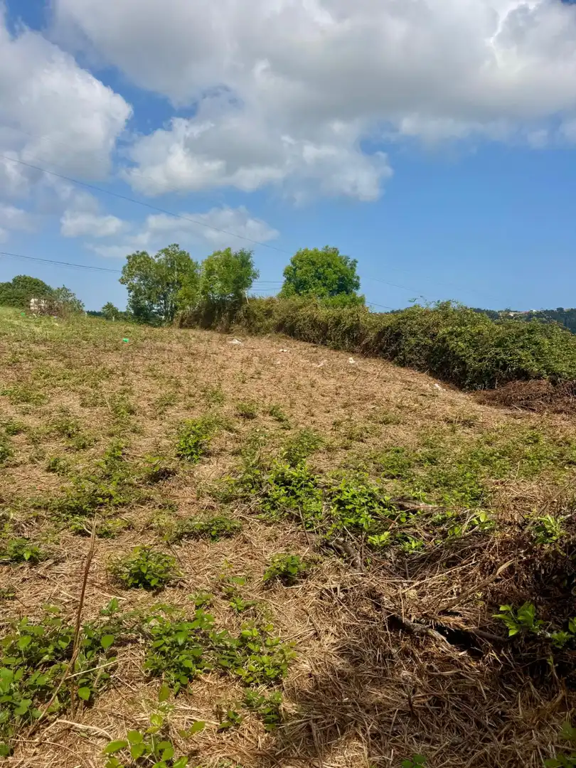 Wohnbaugrundstück zum Verkauf in Villaviciosa - Arroes, imagen 5