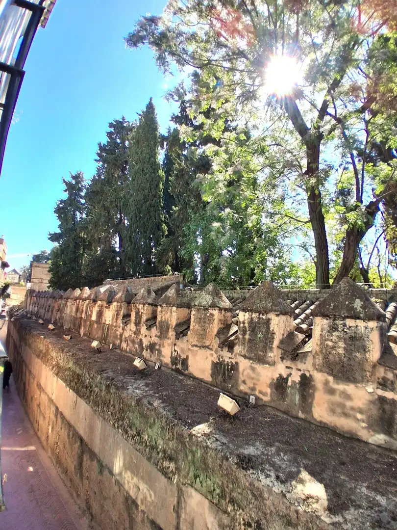Jardí de Pis en venda en Sevilla amb Aire condicionat, Calefacció i Parquet