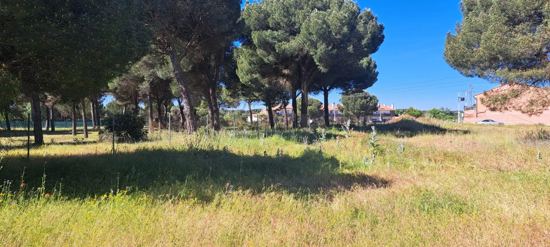 Terreni e lotti in vendita a Camino Cabezada 1, imagen 19