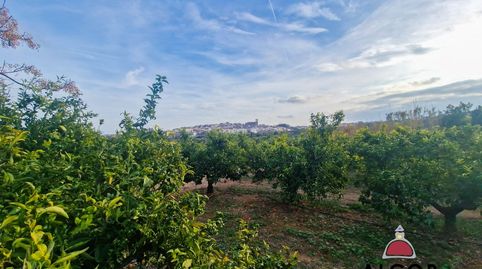 Foto 3 von Country house zum Verkauf in 16, Càlig, Castellón