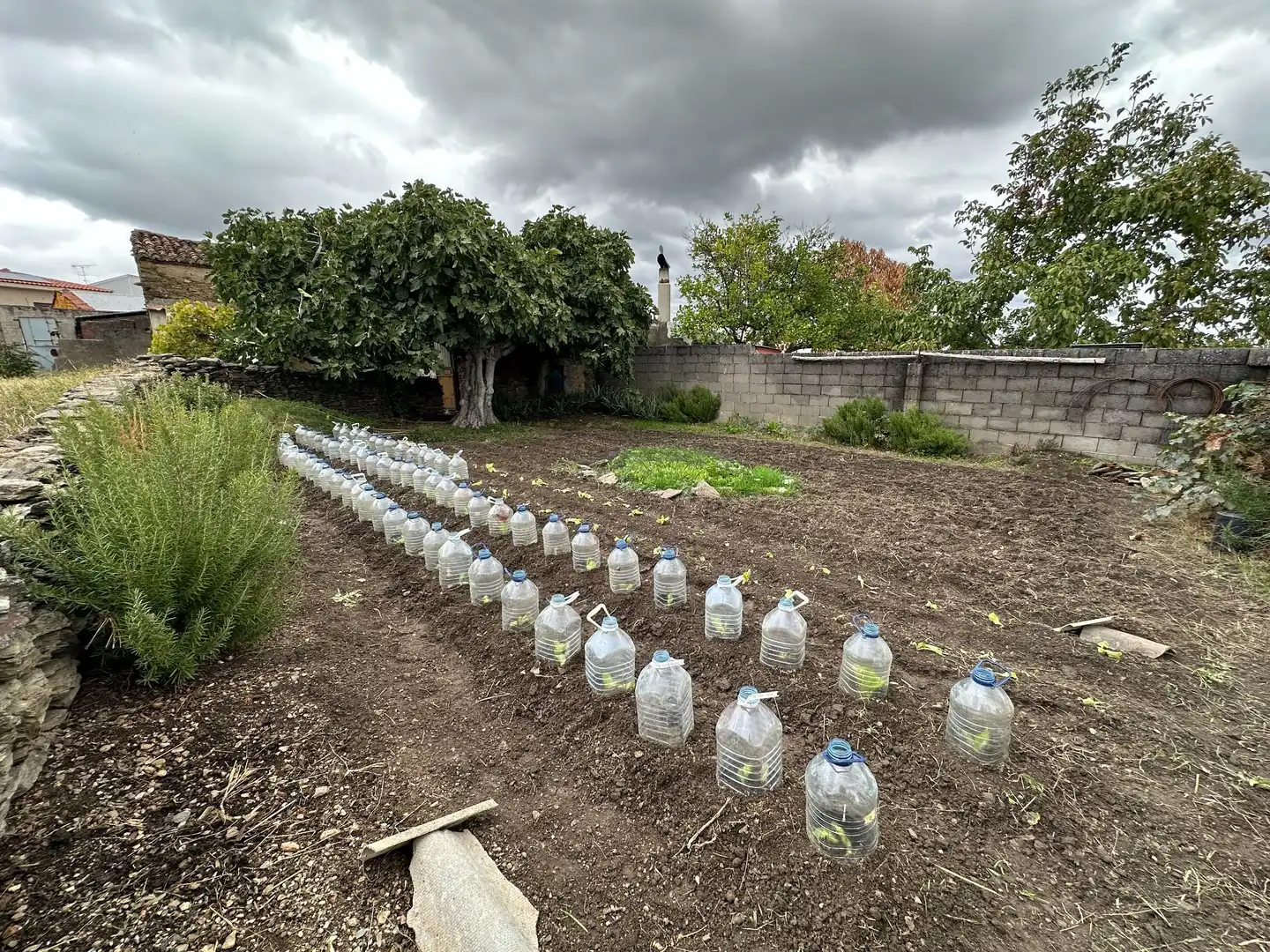 Haus mit Garten zum Verkauf in Malpartida de Plasencia, imagen 16