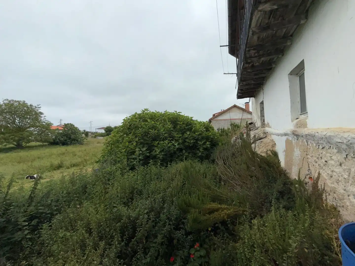 Houses for sale in Argoños 