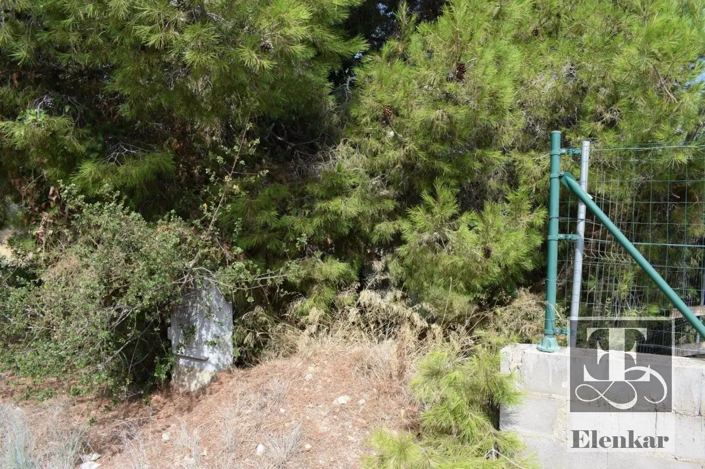 Rural land for sale in marca hispánica, imagen 8