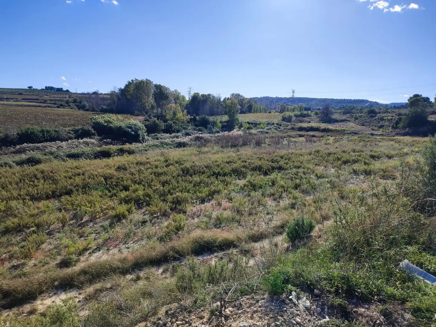 Rural land to rent in Los Felipes - Corral de Carmelo, imagen 9