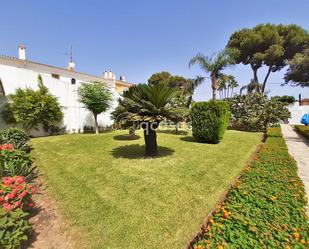 Jardí de Casa o xalet en venda en Benalmádena amb Jardí privat, Terrassa i Traster