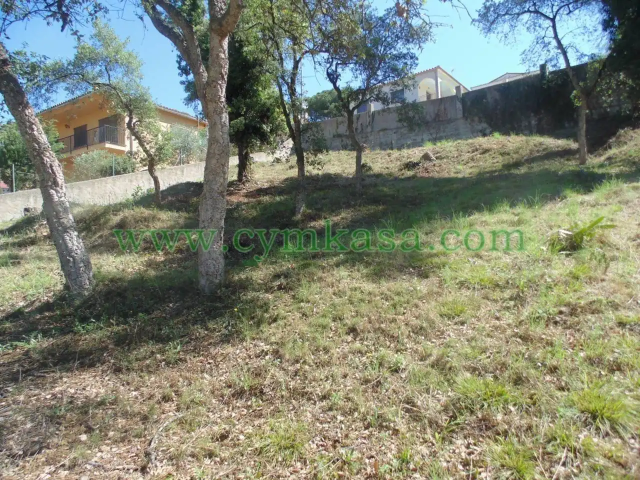 Terreno rustico in vendita a Mas Mora - Sant Daniel, imagen 2