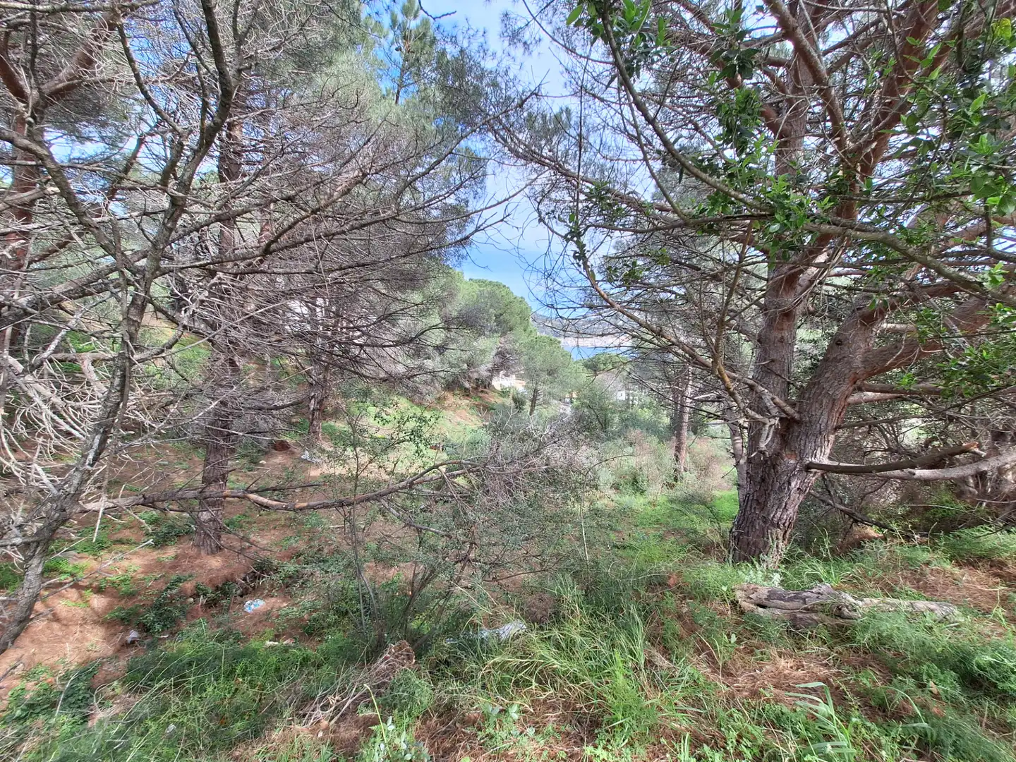Residential land for sale in Carrer la Mina Vella, imagen 3