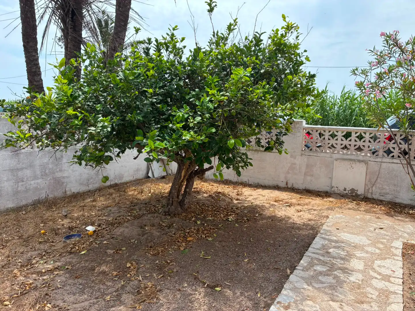 Casa o xalet en venda en Cullera amb Jardí privat i Moblat