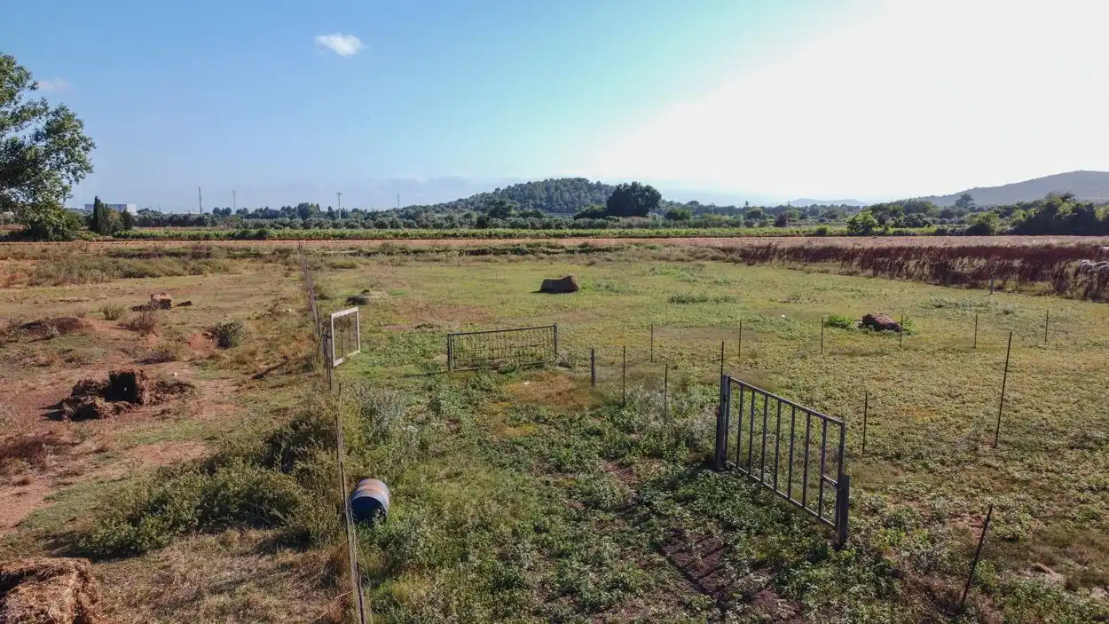 Rural land for sale in Ulldecona, imagen 14