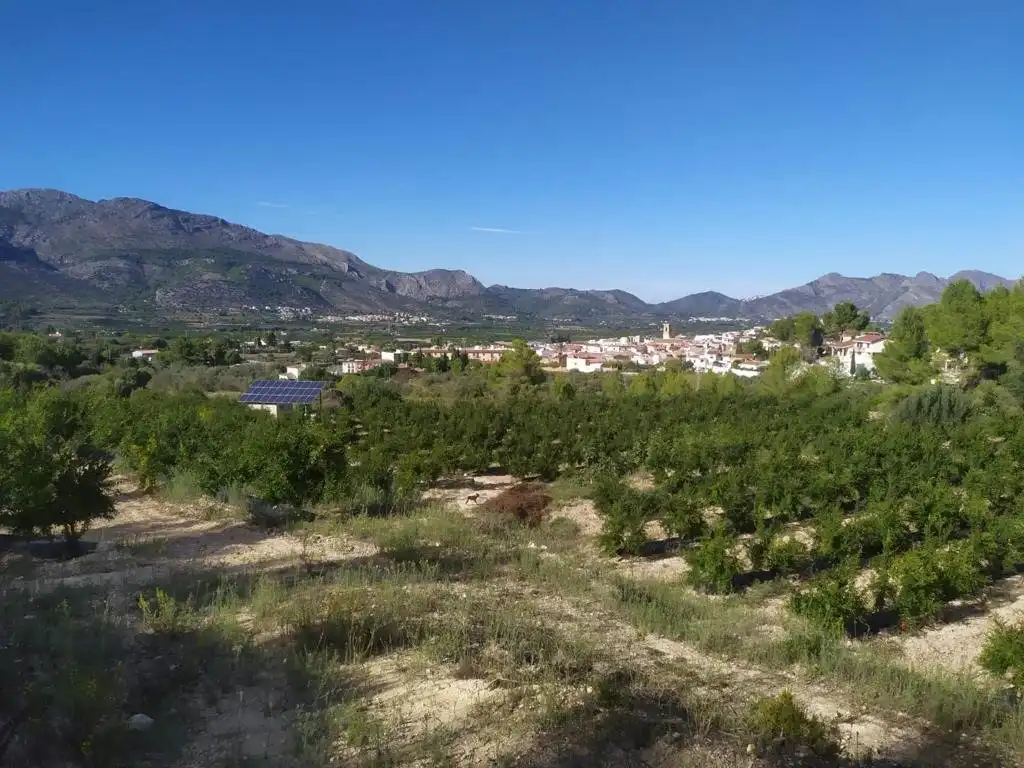 Terreny residencial en venda a Orba, imagen 2