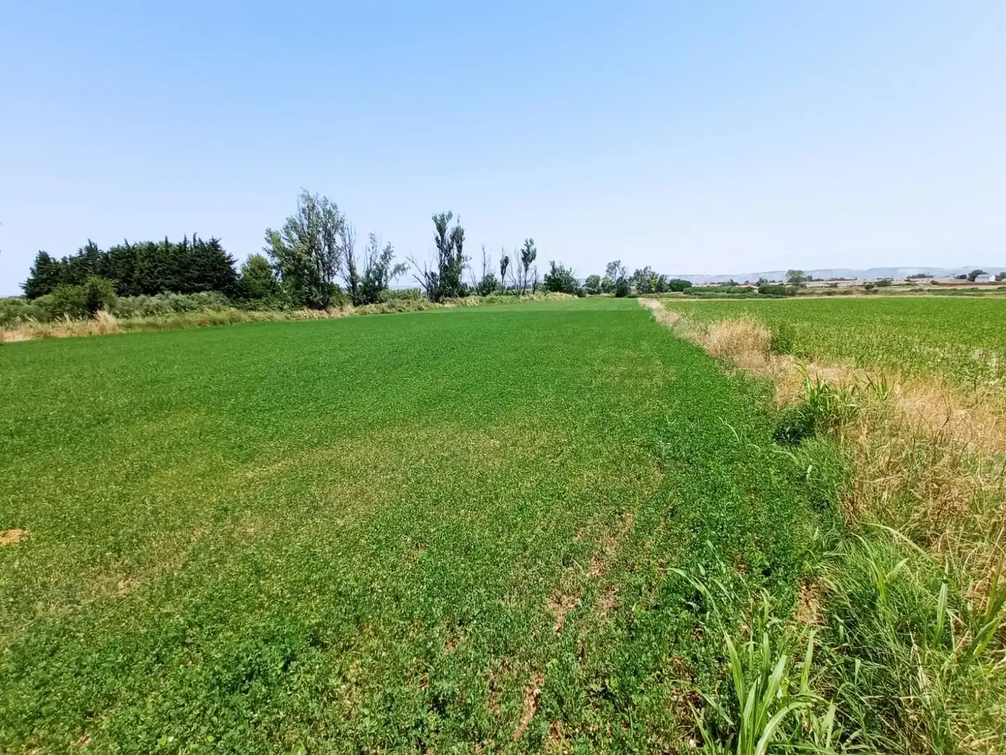 Land for sale in Pinseque