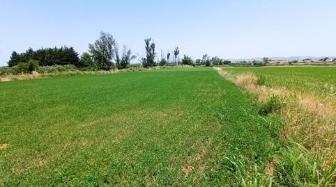 Foto 4 de Terreny en venda a Pinseque, Zaragoza