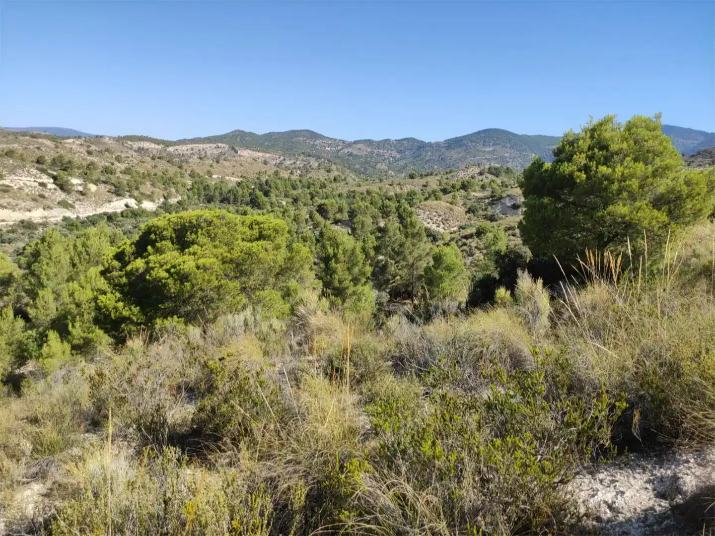 Terreno en venta en Busot