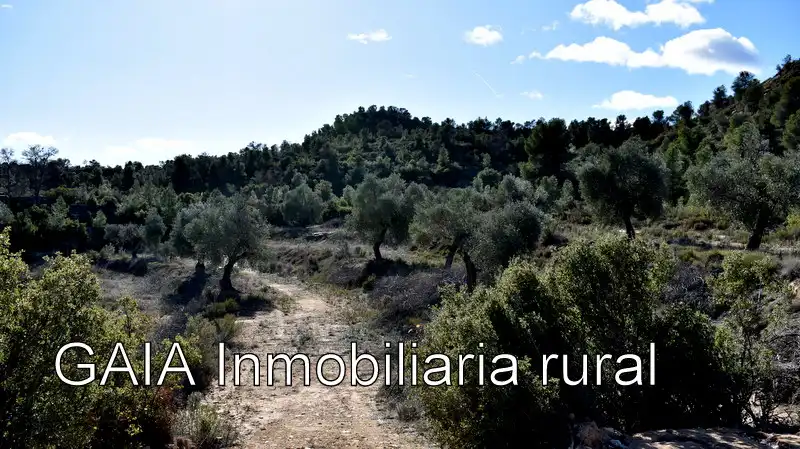 Finca rústica en venda en Maella