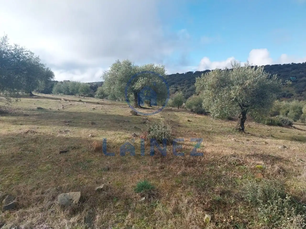 Grundstücke und Bauplätze zum Verkauf in Belmez, imagen 17