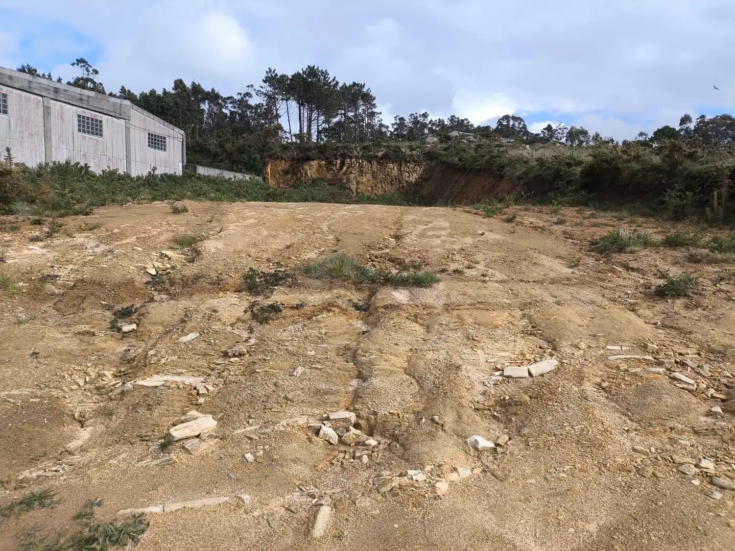 Terreni e lotti in vendita a Lugar PEDRA QUEIMADA, imagen 11