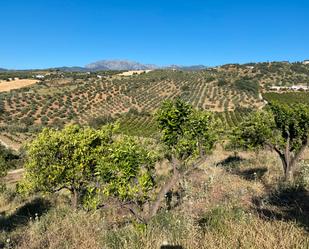 Exterior view of Land for sale in Alozaina