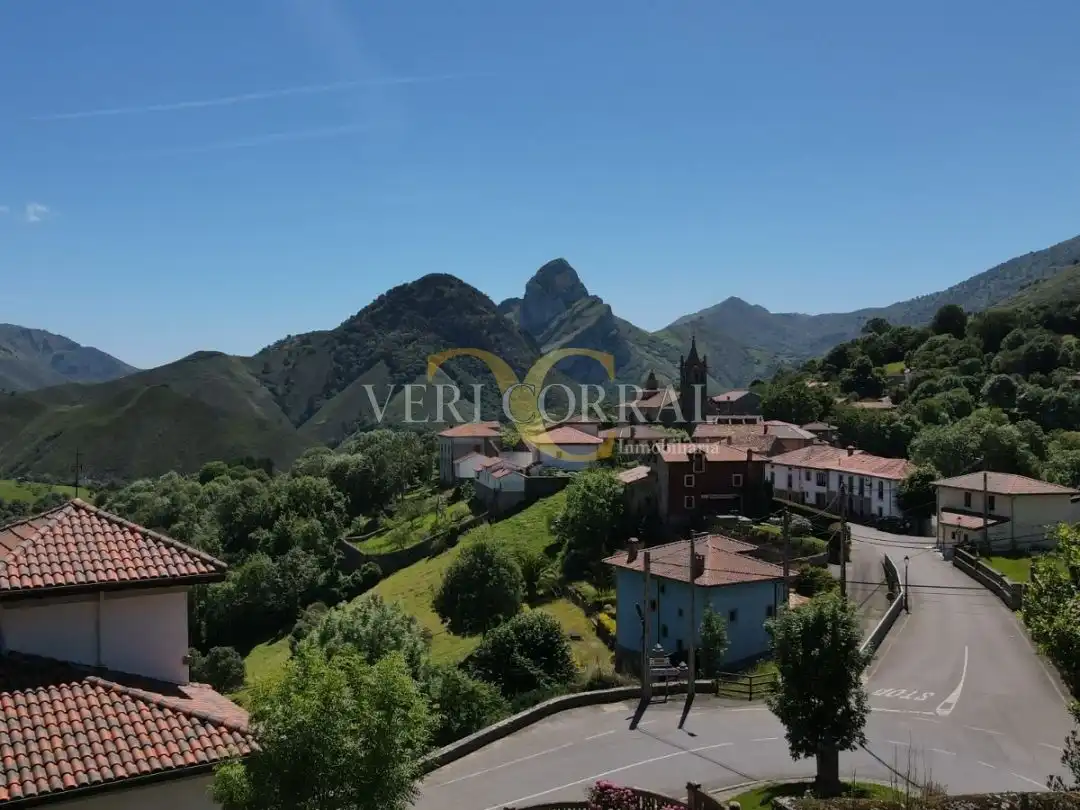 Vista exterior de Casa adosada en venda en Peñamellera Alta amb Calefacció