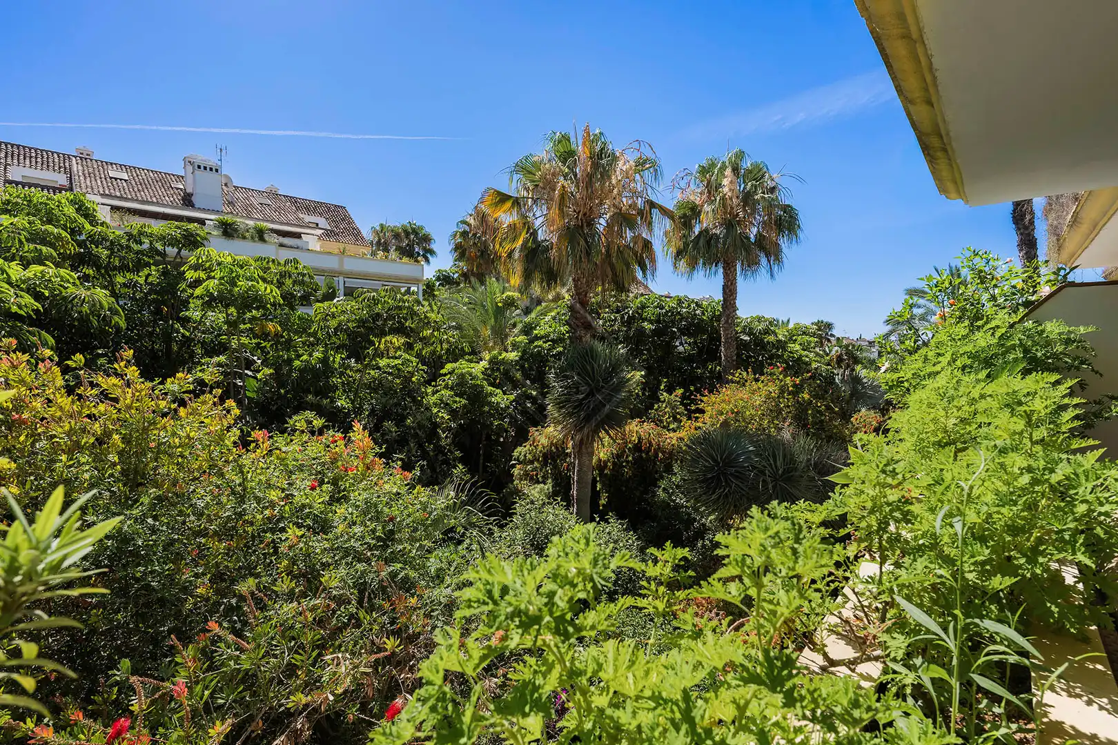 Apartament amb piscina en venda a Milla de Oro, imagen 20