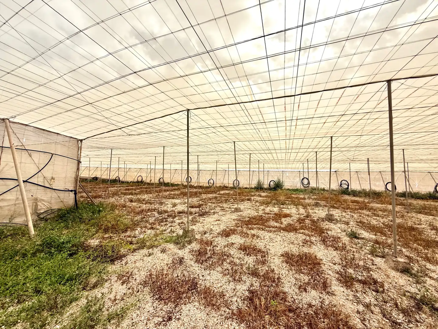 Terreno rustico in vendita a Calle Trece de Septiembre 17, imagen 18