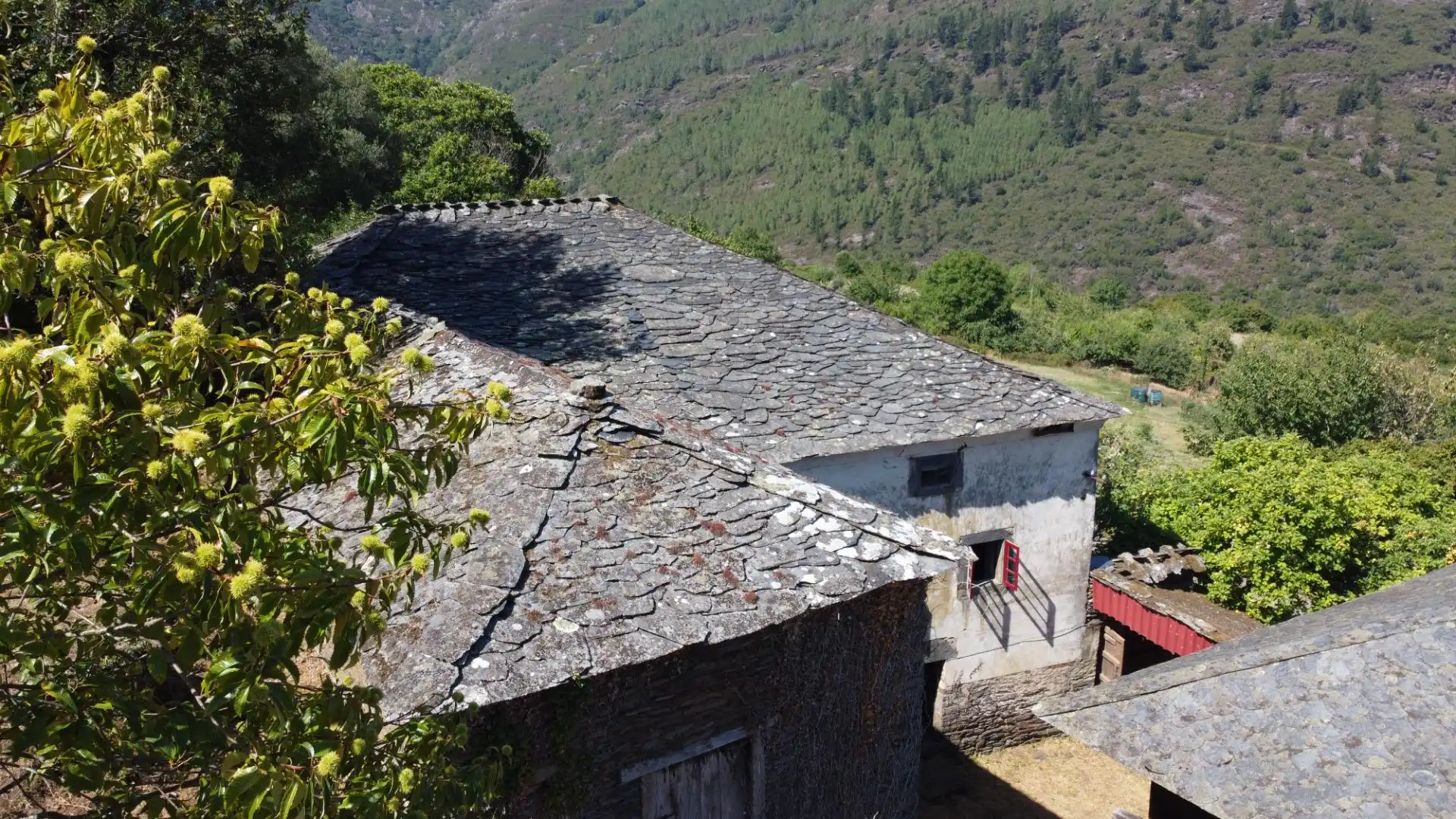 Vista exterior de Casa o xalet en venda en Allande amb Jardí privat i Balcó