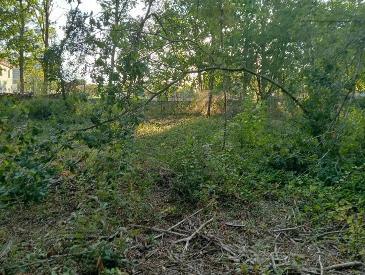 Terreni e lotti in vendita a Nogueira de Ramuín, imagen 15