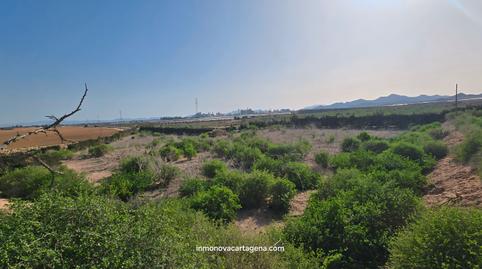 Photo 2 of Land for sale in Albujón, Murcia