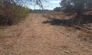 Finca rústica en venta en Jérica