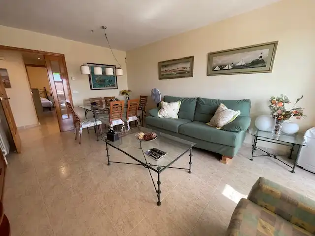 Living room of Attic for sale in Alicante / Alacant  with Terrace, Furnished and Community pool
