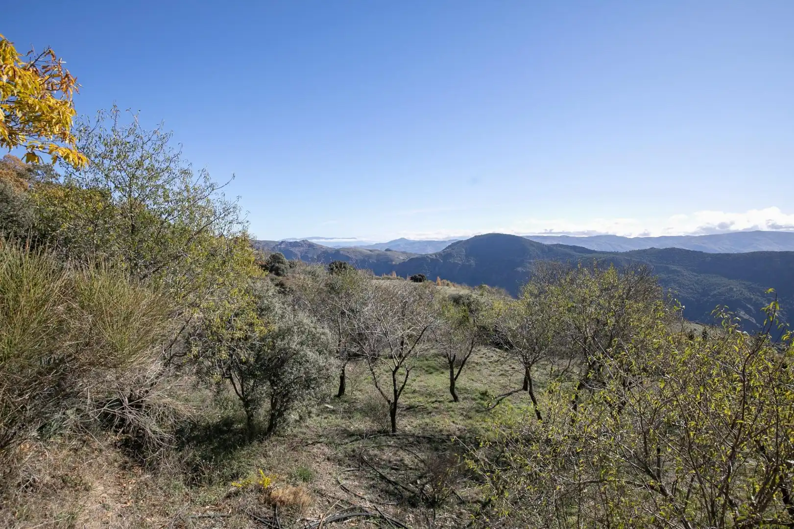 Finca rústica en venda en La Taha