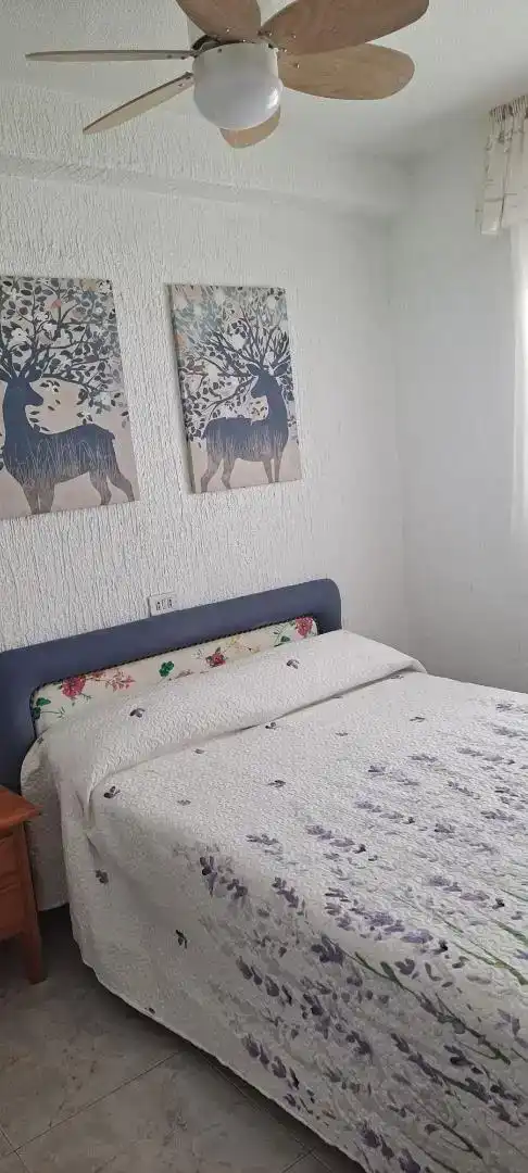 Schlafzimmer von Wohnungen zur Miete in La Manga del Mar Menor