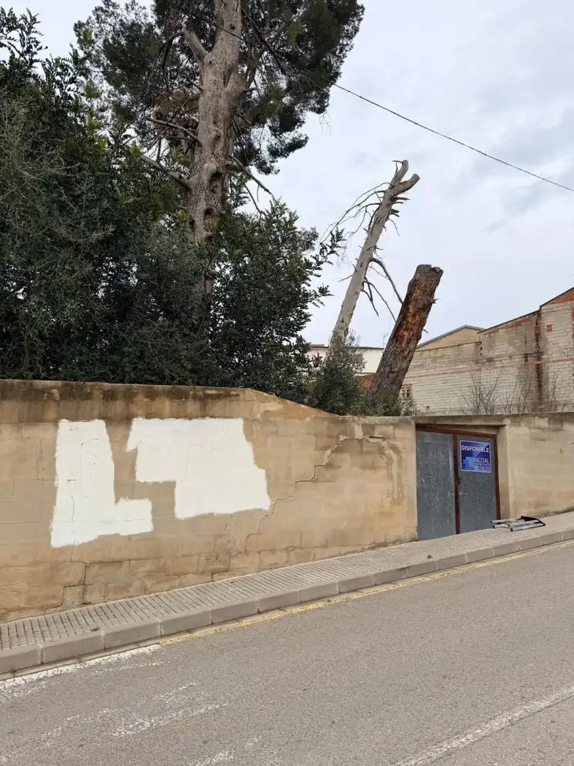 Terreno residencial en venta en Bélgida, imagen 10
