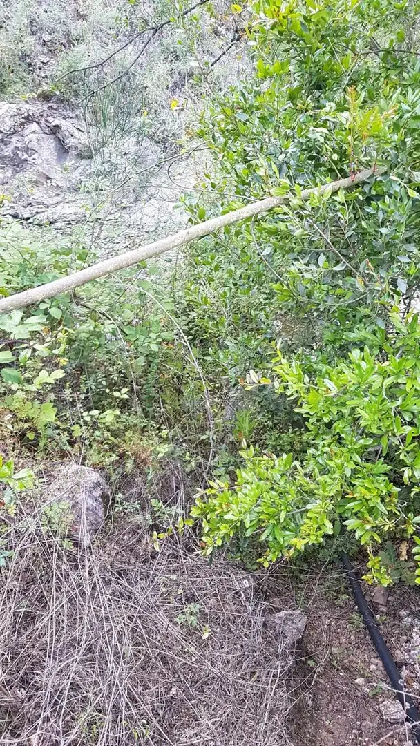 Casa rústica en venda a Comares, imagen 18