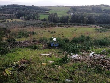 Terreni e lotti in vendita a Los Molinos
