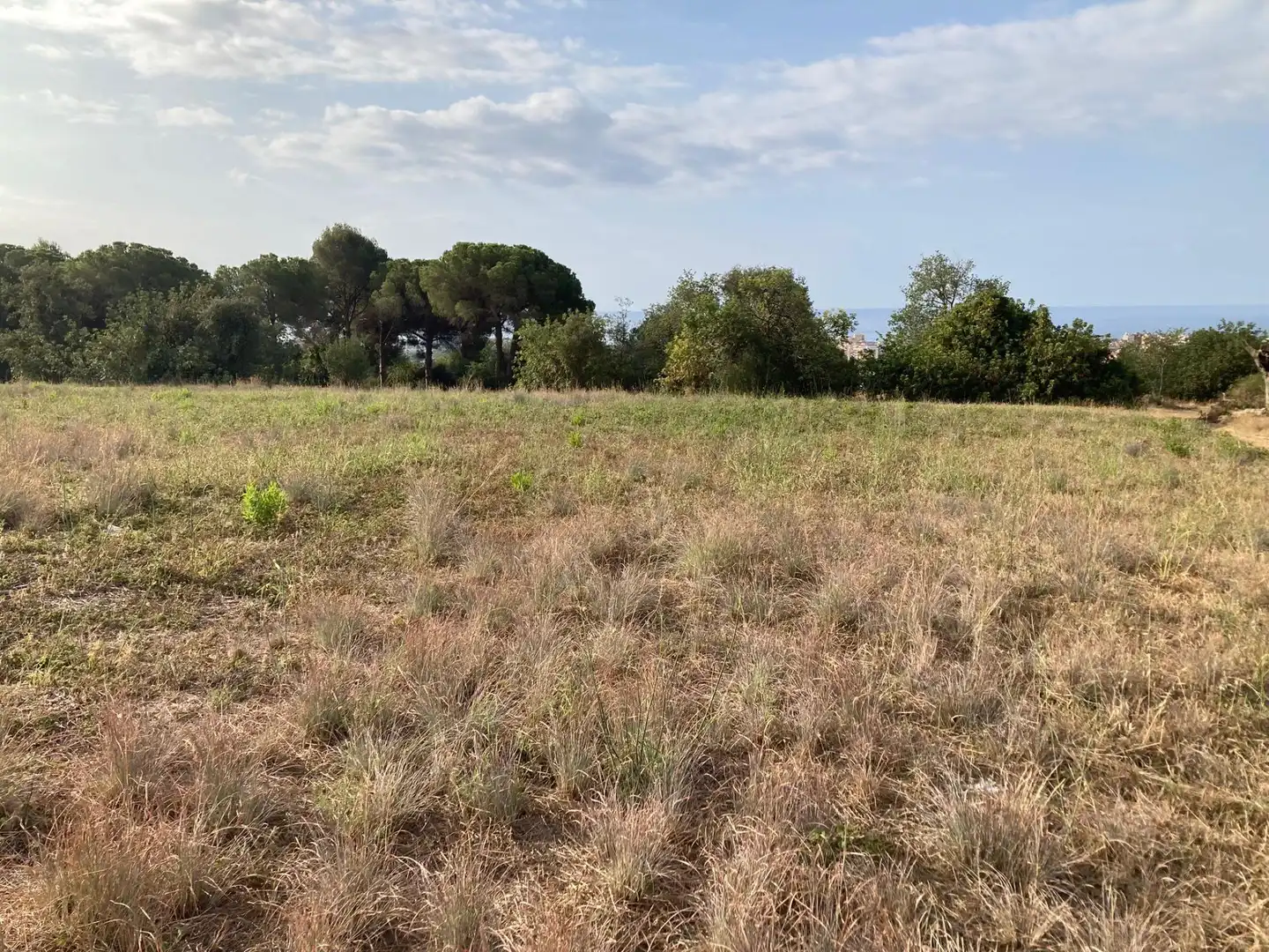 Terreno en venta en Pineda de Mar