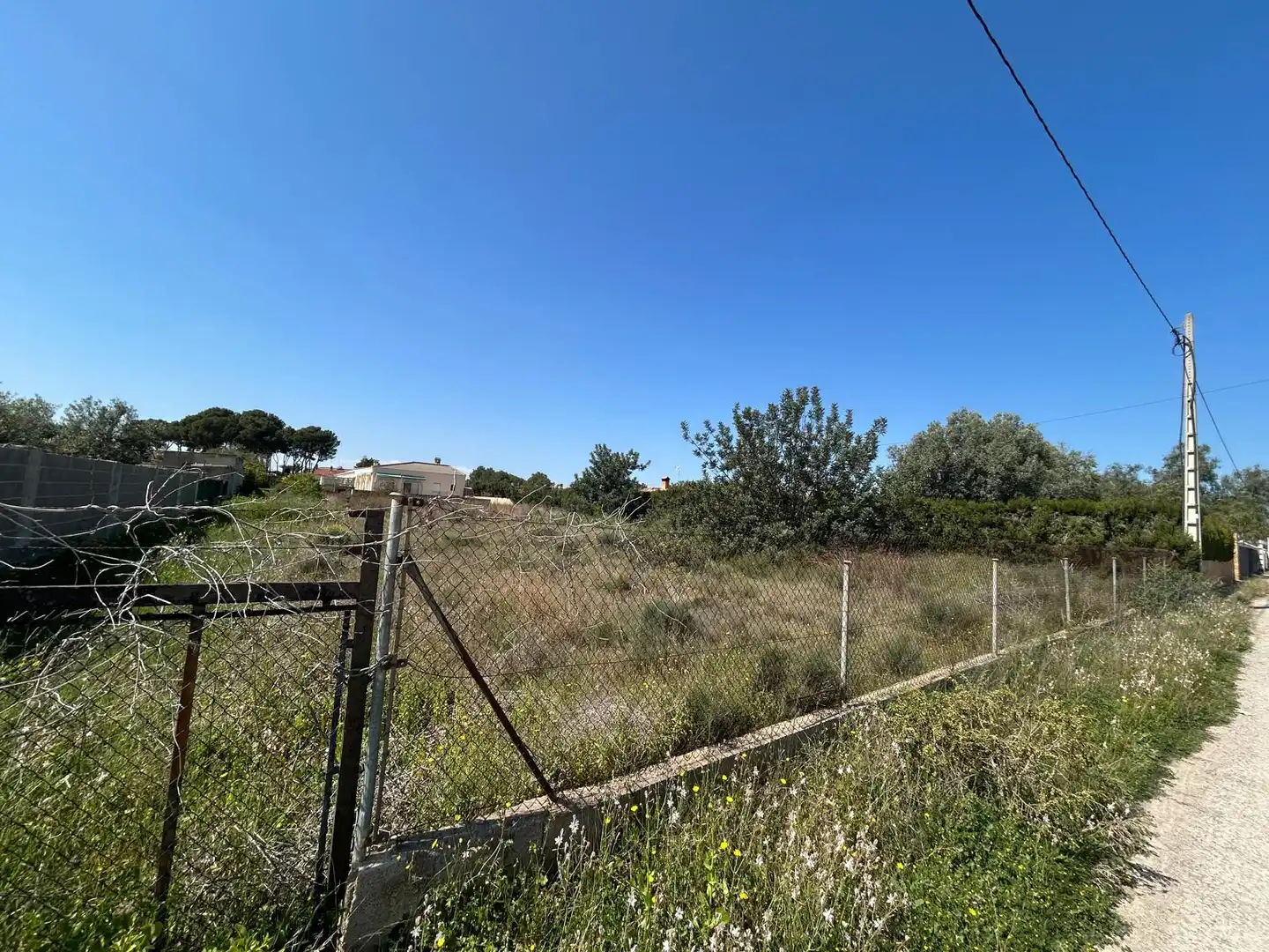 Terreno residenziale in vendita a La Conarda - Montesano, imagen 4