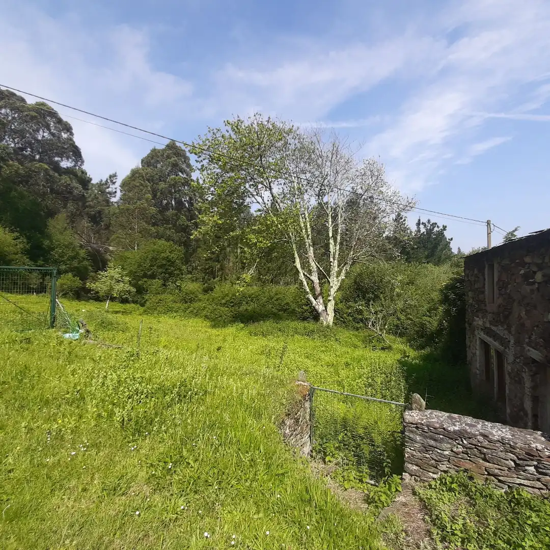 Finca rústica en venda en Viveiro amb Jardí privat