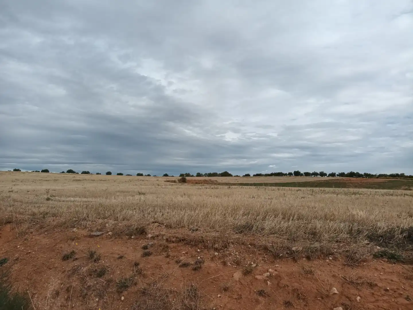 Residencial en venda a Lugar EL PRADO 6, Mondéjar